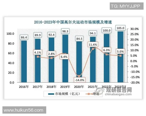 武汉羽毛球队比赛经验深度对比分析与其他队伍的差异与启示 武汉羽毛球队比赛经验深度对比分析与其他队伍的差异与启示